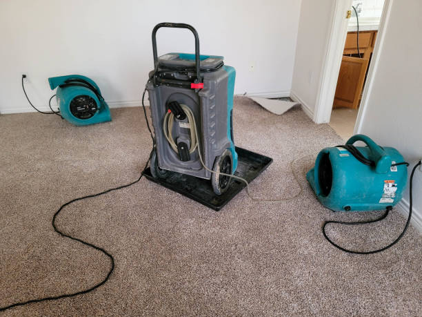 Best Flooded house restoration  in Holly Hills, CO