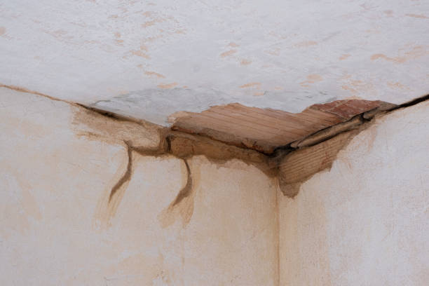 Best Basement water damage restoration  in Holly Hills, CO