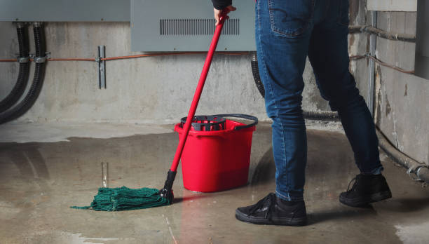 Best Local water damage restoration  in Holly Hills, CO