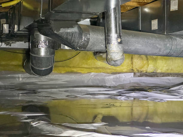 Professional Water damage restoration in Holly Hills, CO