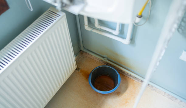 Best Residential water damage restoration  in Holly Hills, CO