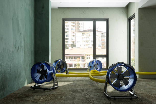 Professional Water damage restoration in Holly Hills, CO