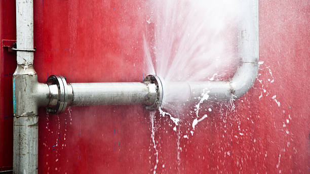  Holly Hills, CO Water damage restoration Pros